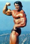 Арнольд Шварценеггер - Arnold Schwarzenegger
