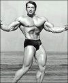 Арнольд Шварценеггер - Arnold Schwarzenegger