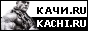 KACHI.RU - Практика бодибилдинга, фитнеса, пауэрлифтинга.